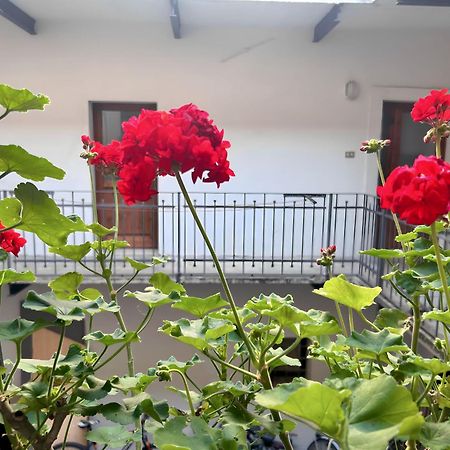 Gorizia Holiday Inn Rastello Suite Экстерьер фото